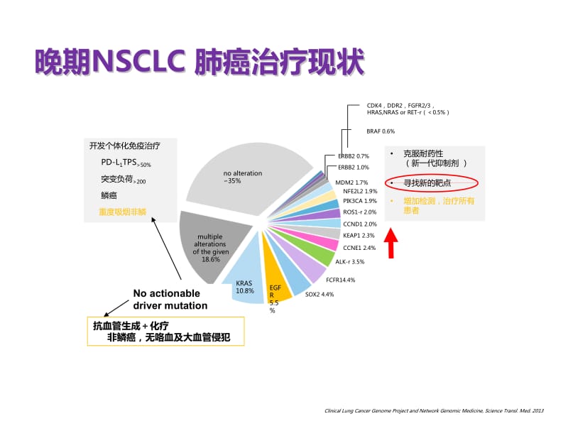 CSCO肺癌指南驱动基因阴性治疗策略ppt课件_第3页