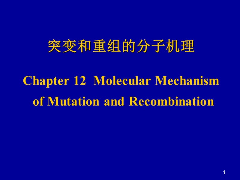 1+突变和重组的分子机理ppt课件_第1页