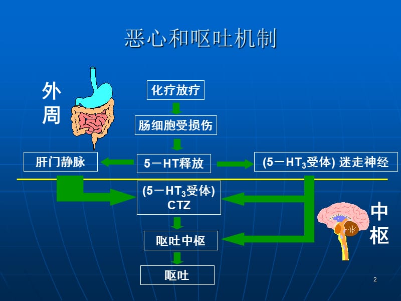 NCCN化疗止吐指南ppt课件_第2页