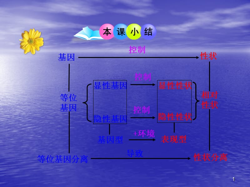 分离定律ppt课件_第1页