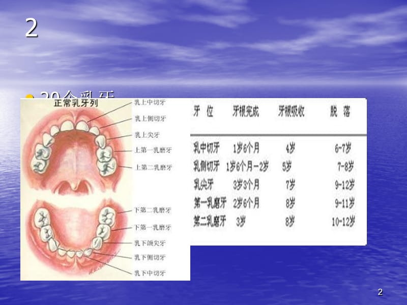 儿童口腔保健ppt课件_第2页