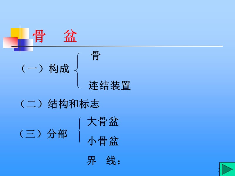 骨盆部局部解剖ppt课件_第3页