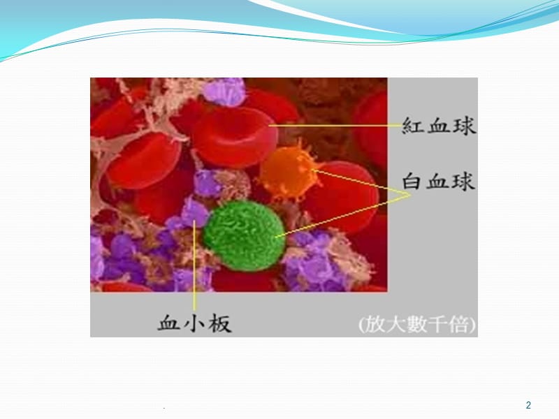 白细胞减少症的处理ppt演示课件_第2页