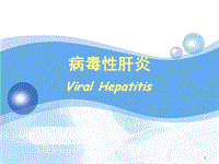 病毒性肝炎的详细ppt演示课件