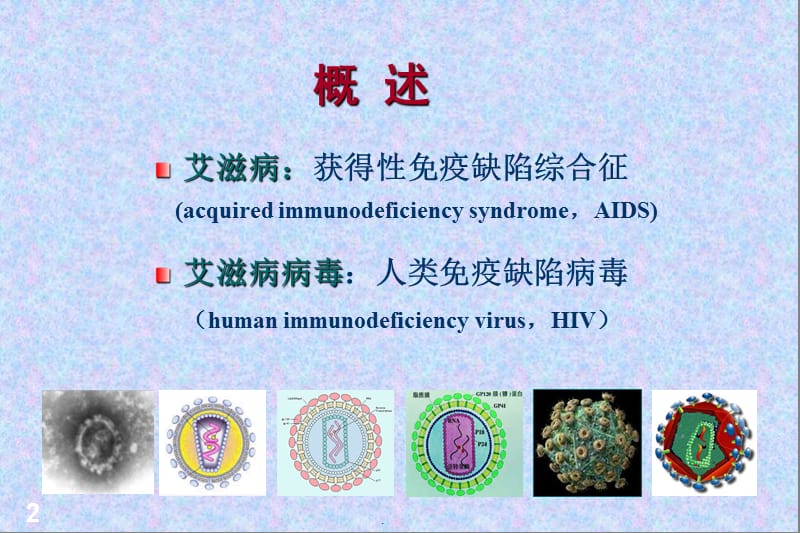 艾滋病学习ppt演示课件_第2页