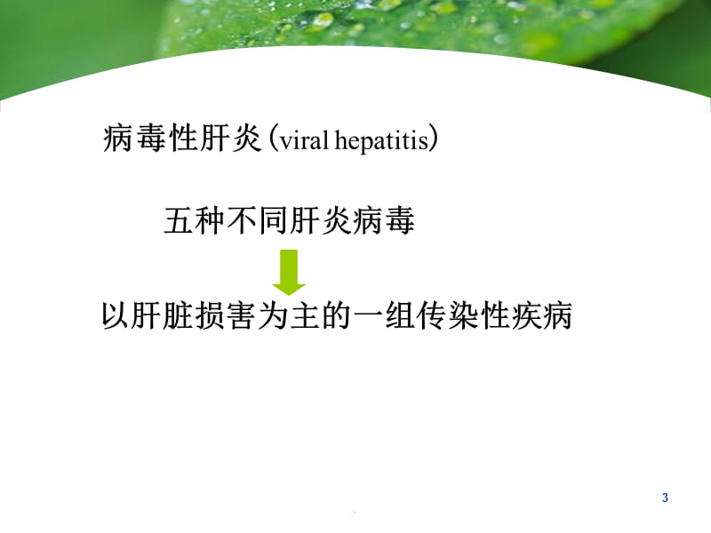 病毒性肝炎ppt演示课件_第3页