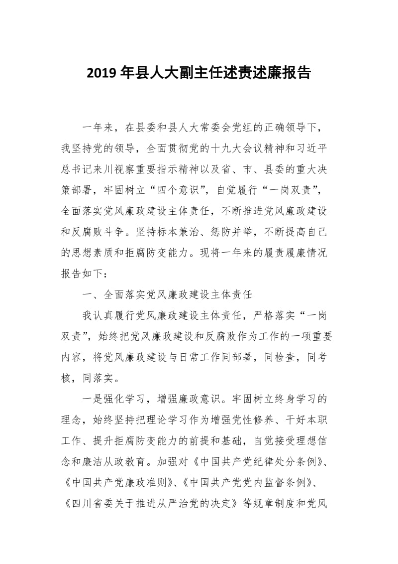 2019年县人大副主任述责述廉报告_第1页