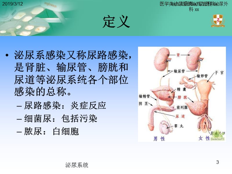 【泌尿系统】泌尿系感染指南_第3页