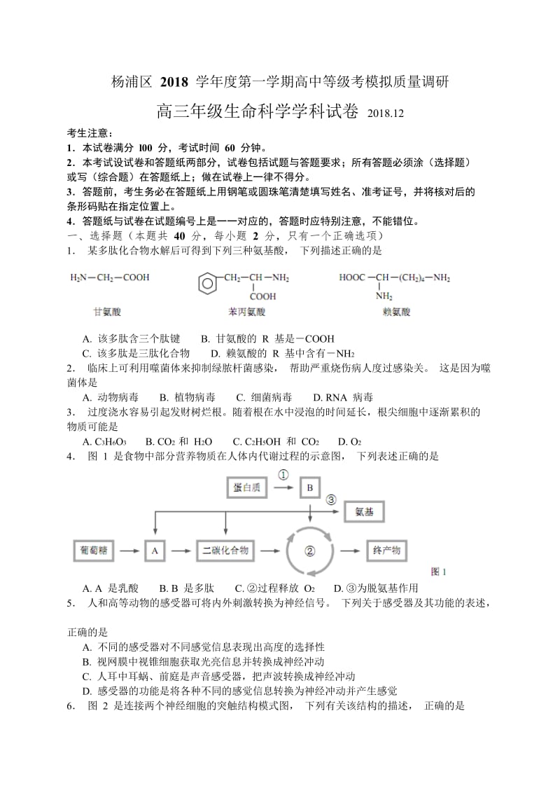 上海市杨浦区2019届高三上学期等级考模拟期末调研生命科学试题（WORD版）_第1页