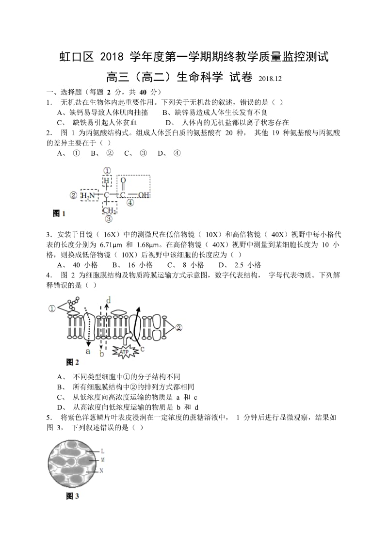 上海市虹口区2019届高三上学期期末教学质量监控生命科学试题（WORD版）_第1页