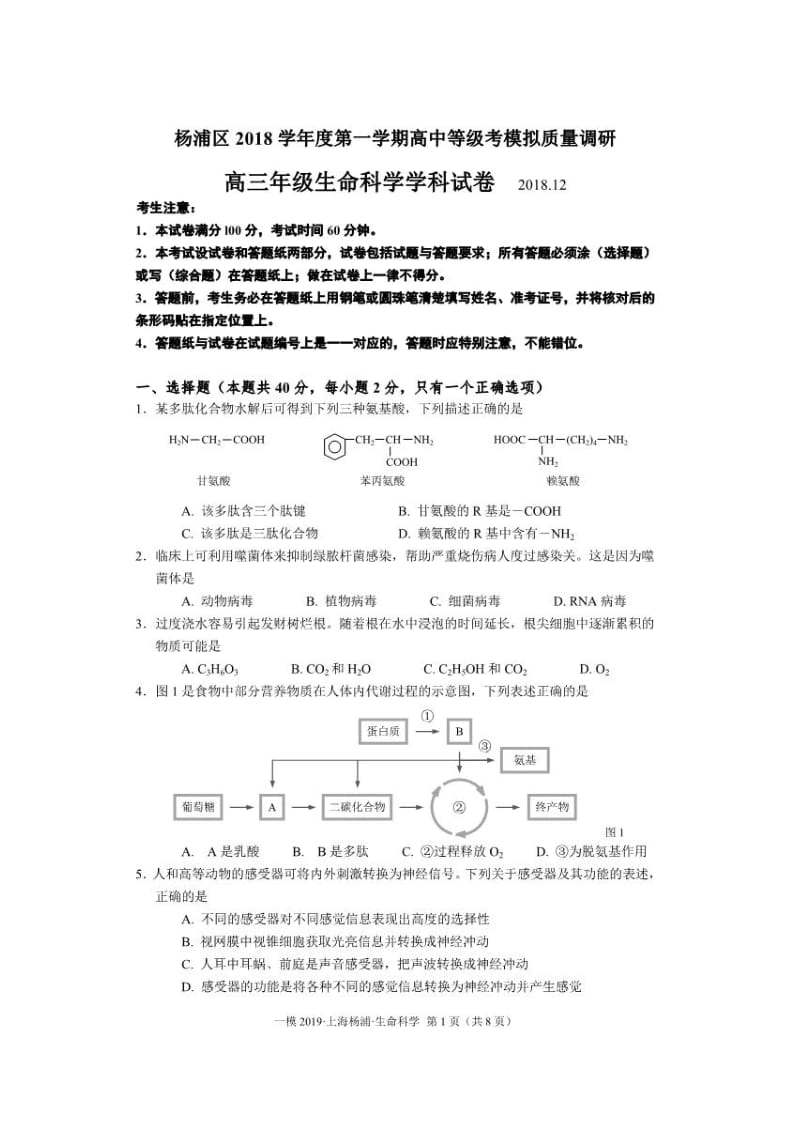 上海市杨浦区2019届高三上学期等级考模拟期末调研生物科学试题（图片版）_第1页