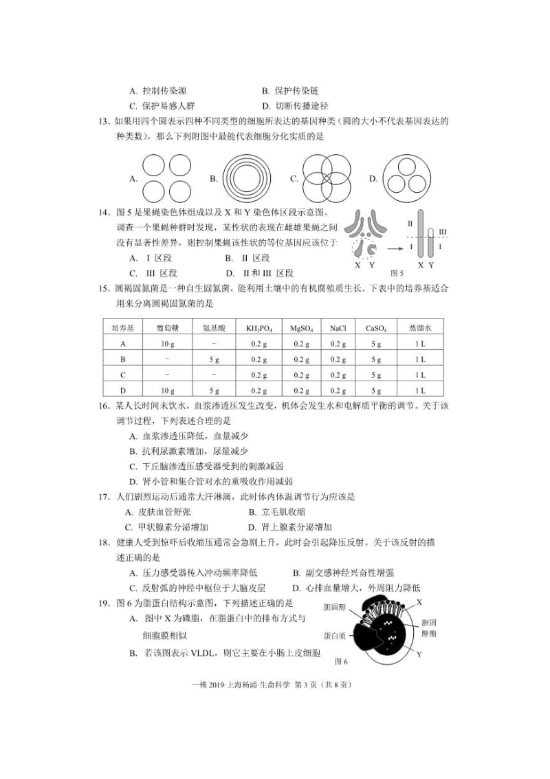 上海市杨浦区2019届高三上学期等级考模拟期末调研生物科学试题（图片版）_第3页