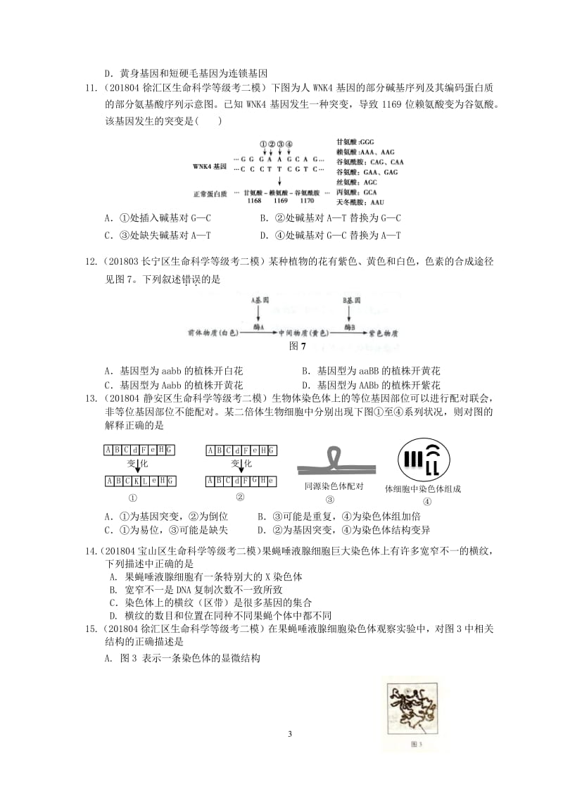 备考2019专题六遗传与变异等级考模拟卷汇编（含答案）Word_第3页