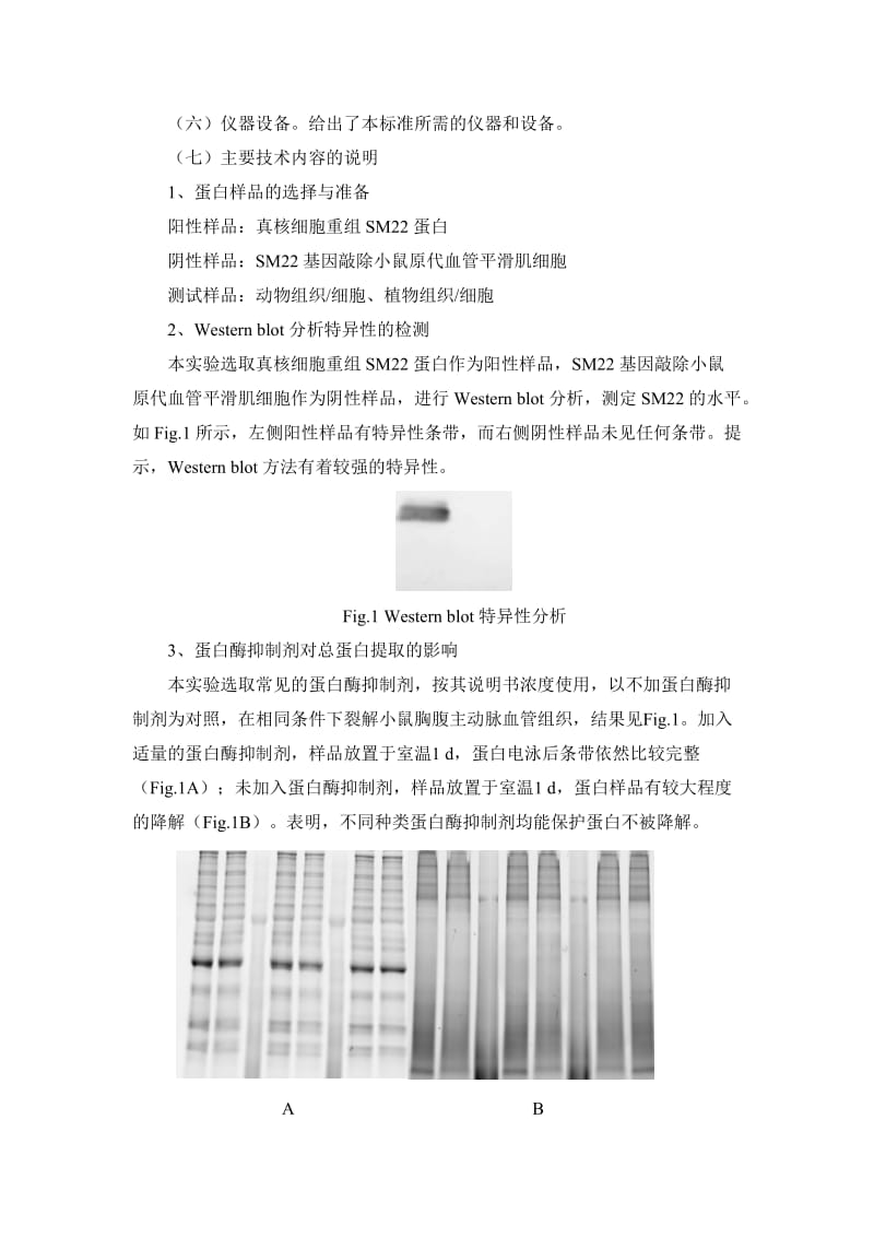 基因表达的测定 蛋白印迹法征求意见稿编制说明_第3页