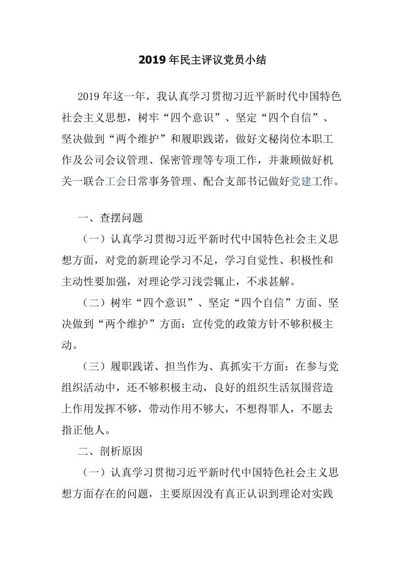 2019年民主评议党员小结_第1页