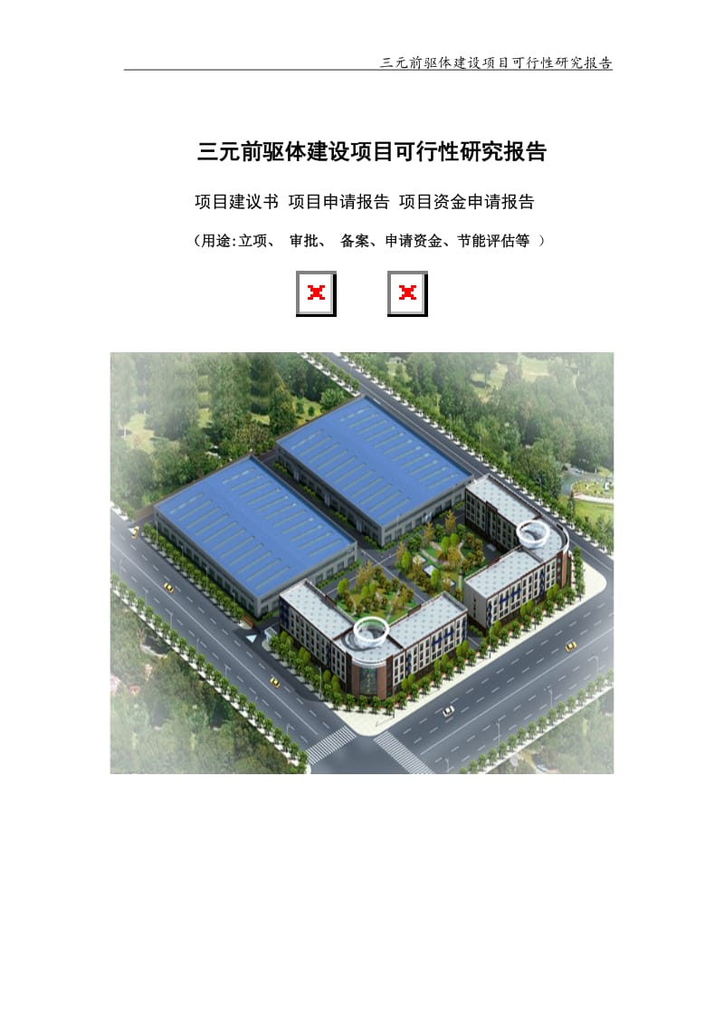 三元前驱体建设项目可行性研究报告【可编辑案例】_第1页