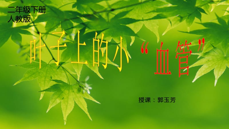 二年级下册美术课件－8叶子上的小血管人美版（23页PPT）_第1页