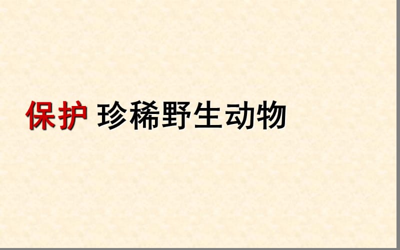 三年级下册美术课件－19《保护野生动物》｜人教新课标(共12张PPT)_第1页