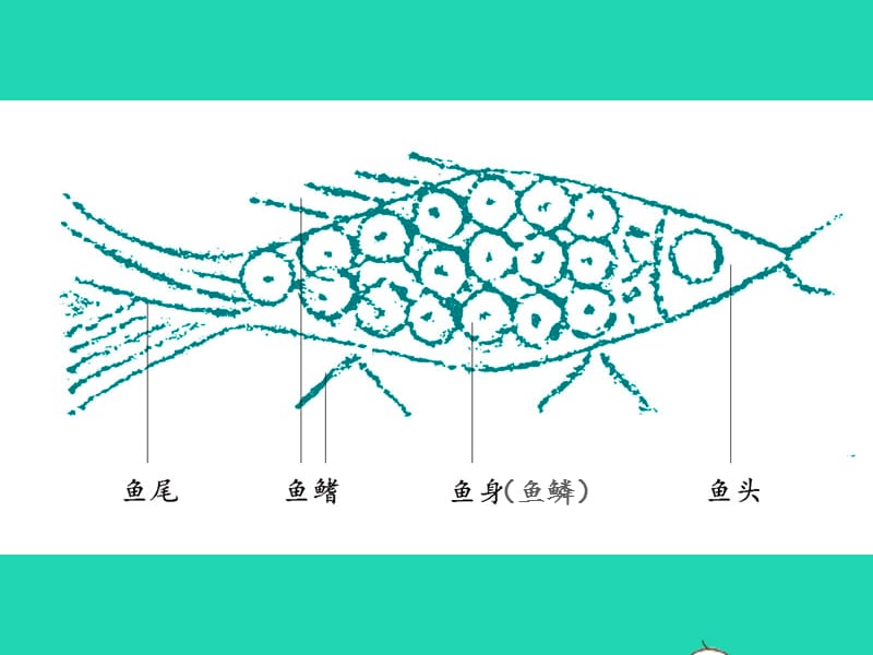 四年级下册美术课件-年年有余浙美版(共17张PPT)_第3页