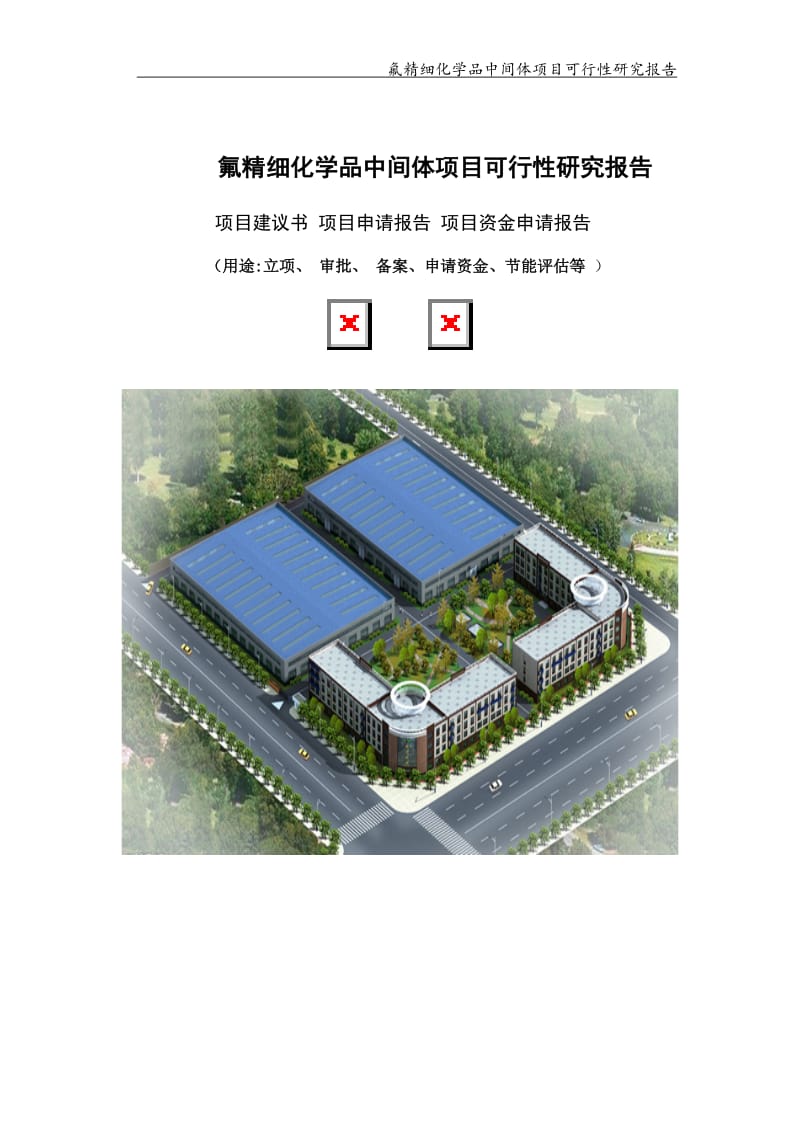 氟精细化学品中间体项目可行性研究报告【可编辑案例】_第1页