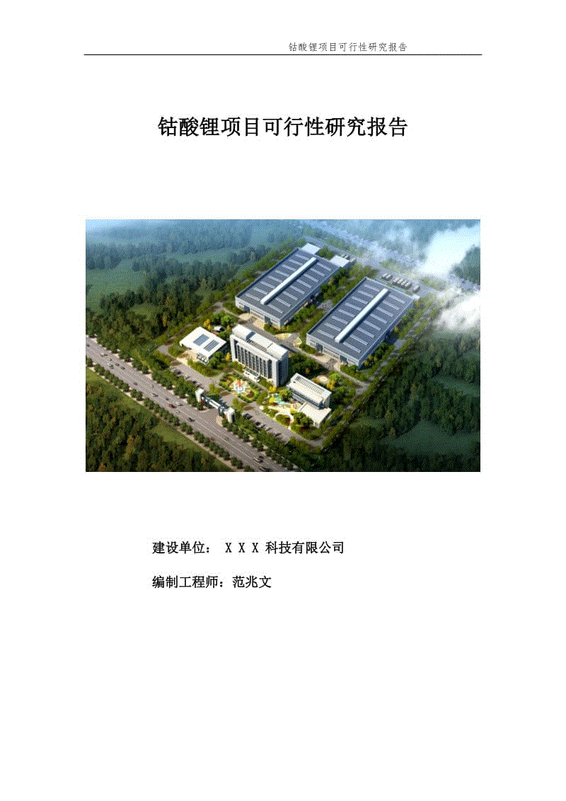 钴酸锂项目可行性研究报告【申请案例】