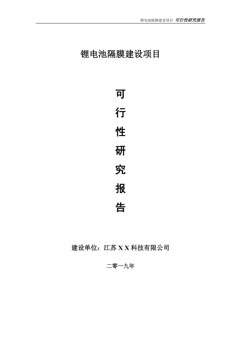 锂电池隔膜项目可行性研究报告【备案定稿可修改版】_第1页