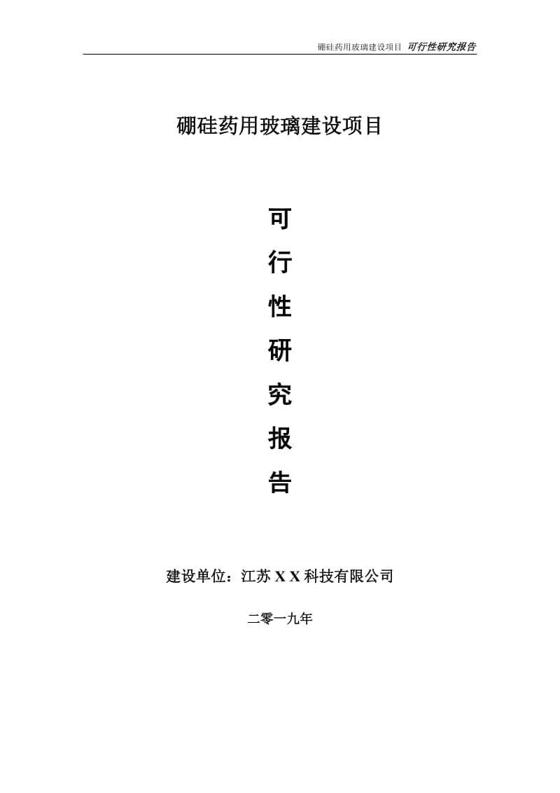 硼硅药用玻璃项目可行性研究报告【备案定稿可修改版】_第1页