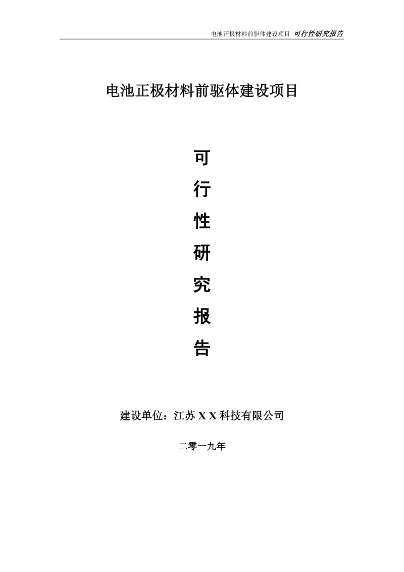 电池正极材料前驱体项目可行性研究报告【备案定稿可修改版】_第1页