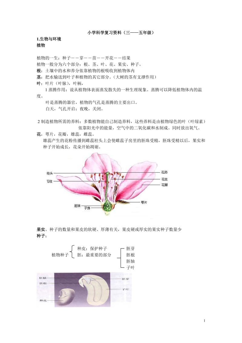 （参考材料）教科版小学科学毕业总复习提纲_第1页