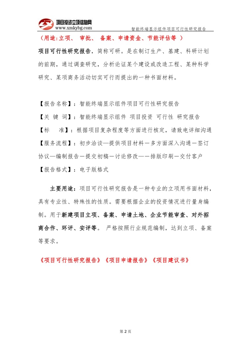 智能终端显示组件项目可行性研究报告（备案实用案例）_第3页