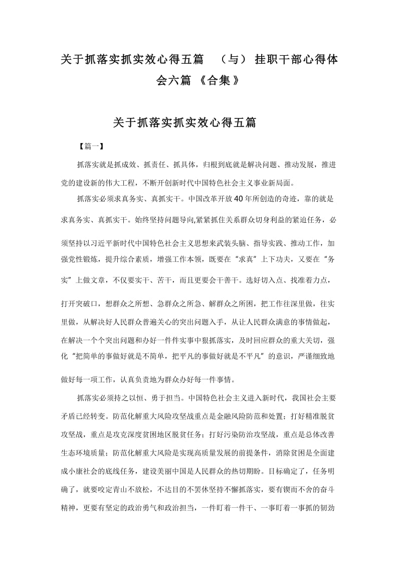 关于抓落实抓实效心得五篇（与）挂职干部心得体会六篇《合集》_第1页