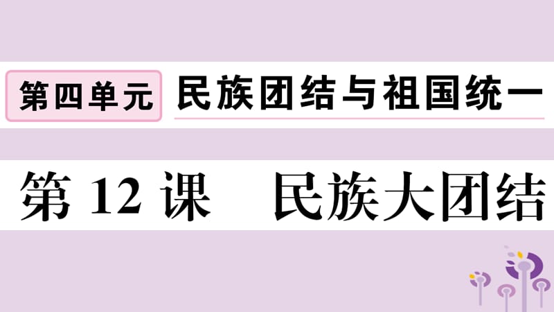 八年级历史下册第四单元民族团结与祖国统一第12课民族大团结习题课件(2)_第1页