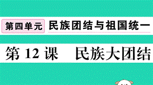 八年级历史下册第四单元民族团结与祖国统一第12课民族大团结习题课件(3)