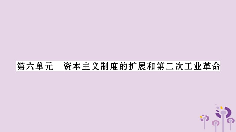 中考世界历史第6单元资本主义制度的扩展和第二次工业革命习题课件14333_第1页