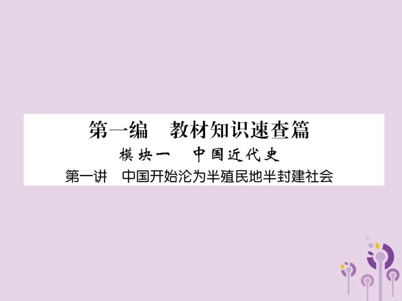 中考历史总复习中国近代史第1讲中国开始沦为半殖民地半封建社会（精练）课件_第1页