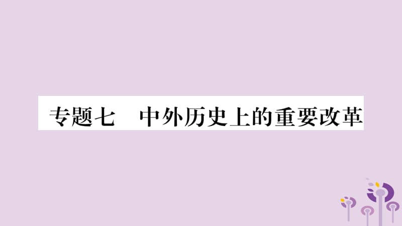 中考历史复习7中外历史上的重要改革课件5_第1页