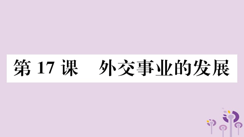 八年级历史下册第五单元国防建设与外交成就第17课外交事业的发展习题课件(1)_第1页