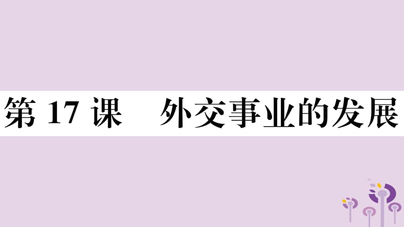 八年级历史下册第五单元国防建设与外交成就第17课外交事业的发展习题课件(2)_第1页