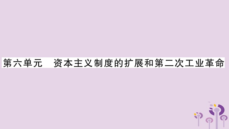 中考世界历史第6单元资本主义制度的扩展和第二次工业革命讲解课件14334_第1页