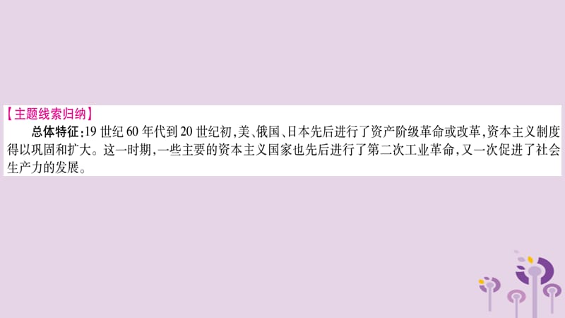 中考世界历史第6单元资本主义制度的扩展和第二次工业革命讲解课件14334_第3页