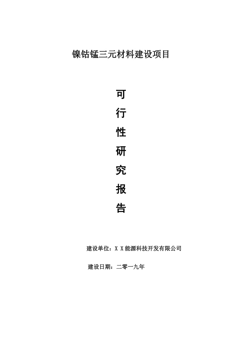 镍钴锰三元材料项目可行性研究报告【申请可修改】_第1页