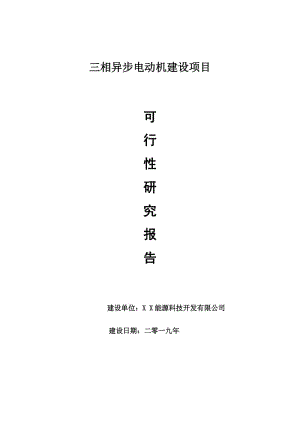 三相異步電動機項目可行性研究報告【申請可修改】