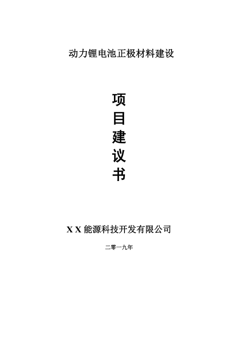 动力锂电池正极材料项目建议书-可编辑案例_第1页