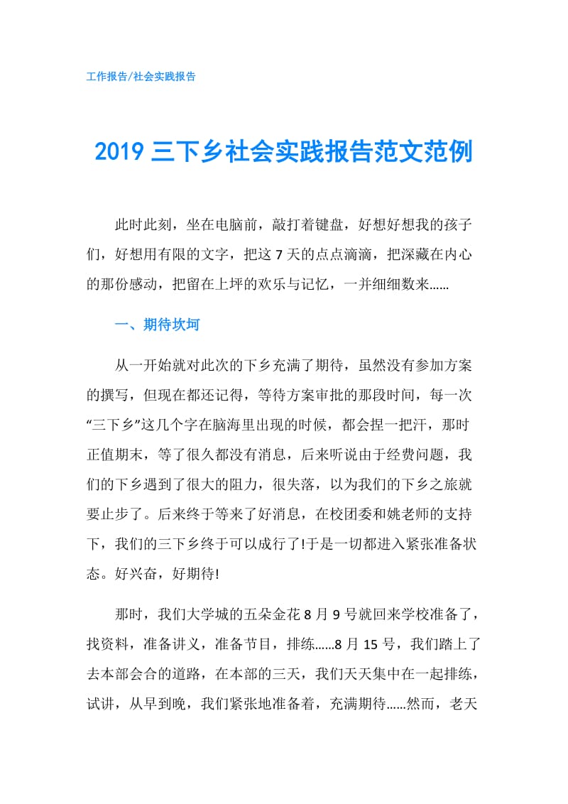 2019三下乡社会实践报告范文范例.doc_第1页