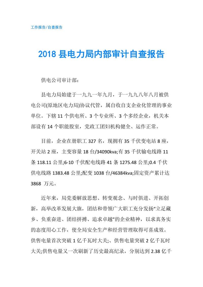 2018县电力局内部审计自查报告.doc_第1页