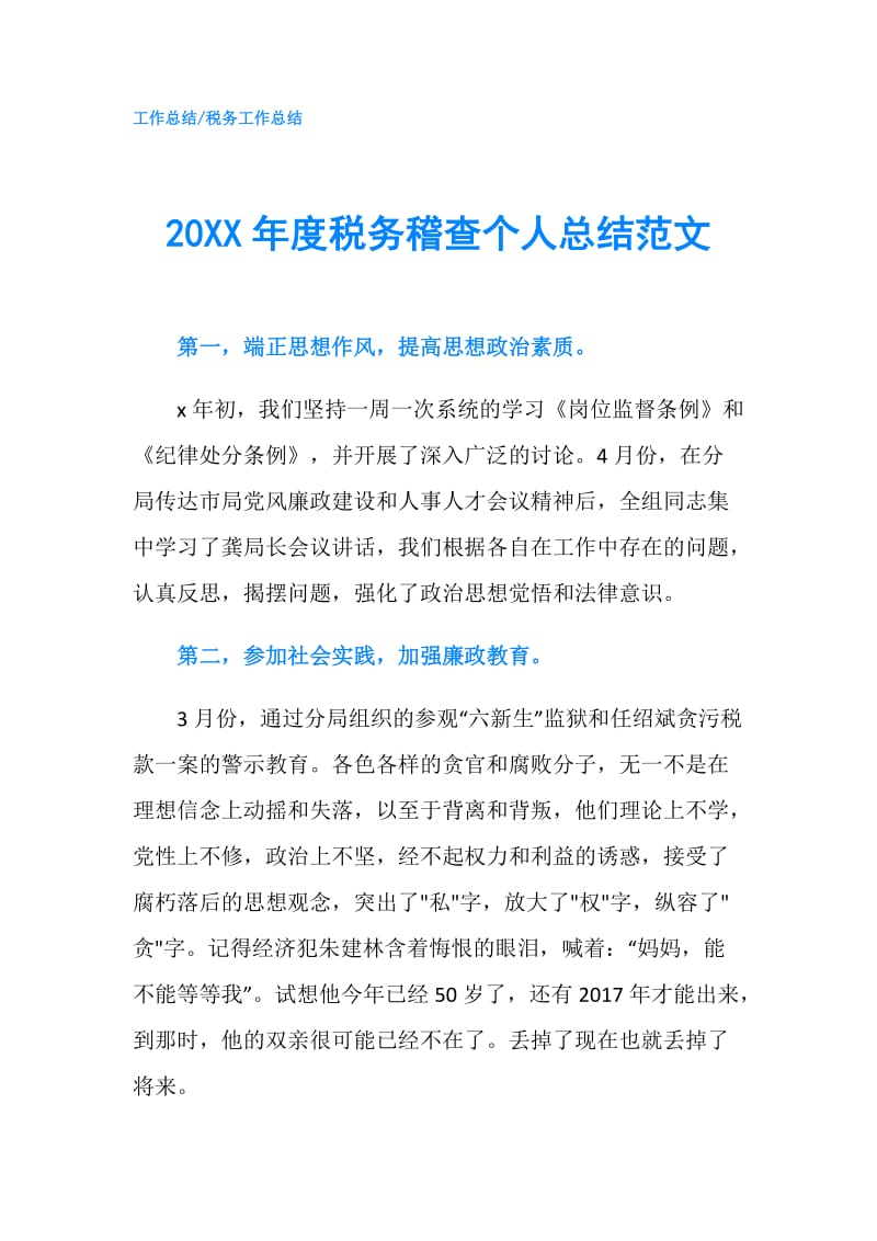 20XX年度税务稽查个人总结范文.doc_第1页