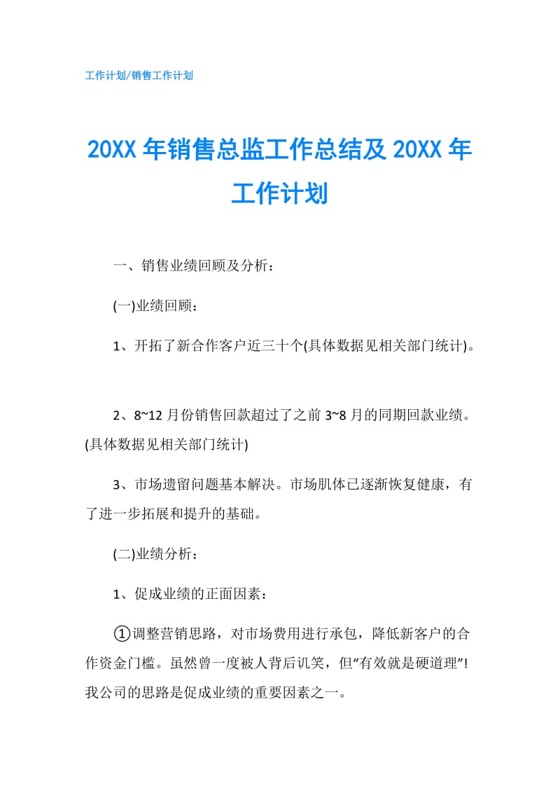 20XX年销售总监工作总结及20XX年工作计划.doc_第1页