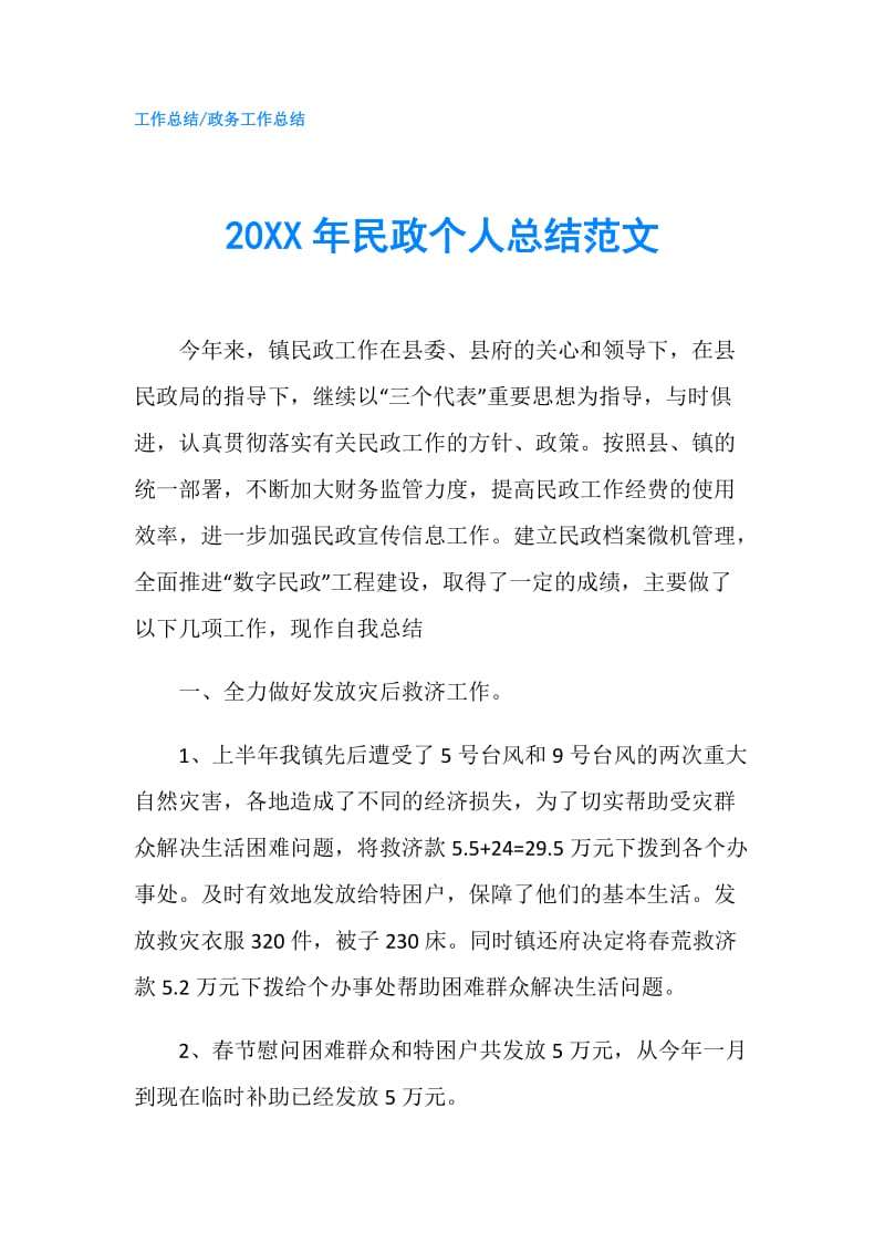20XX年民政个人总结范文.doc_第1页