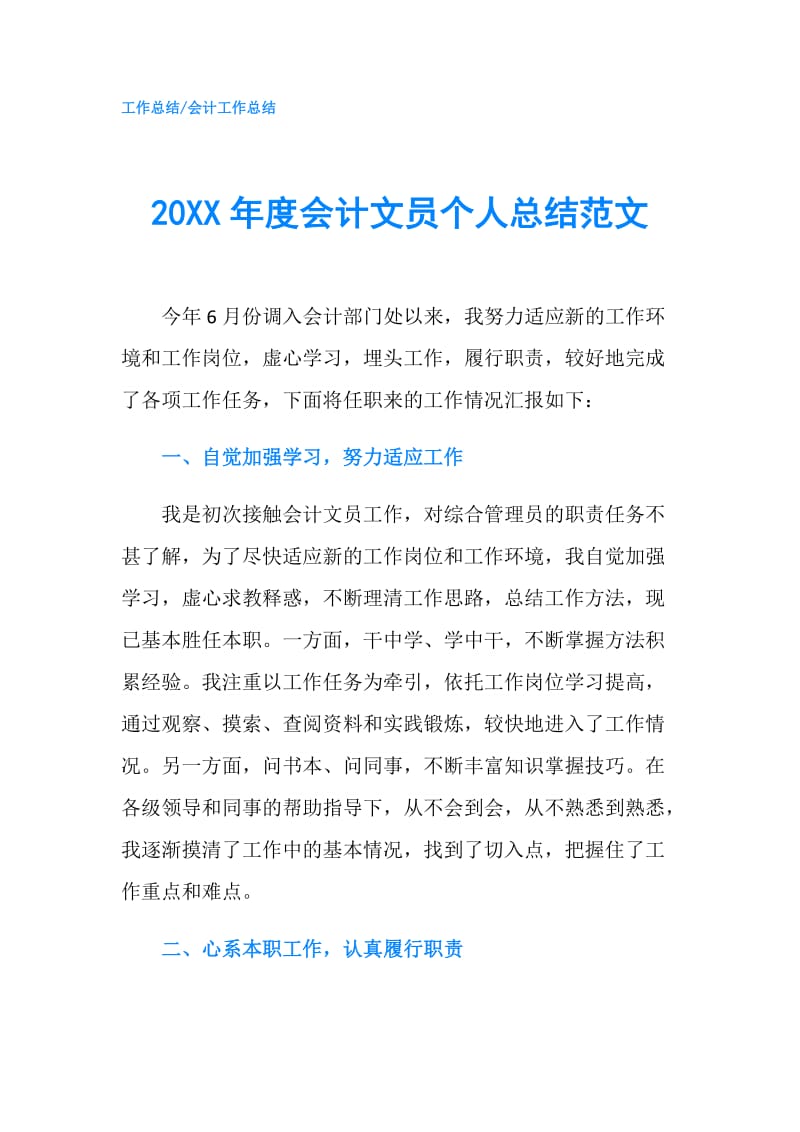 20XX年度会计文员个人总结范文.doc_第1页