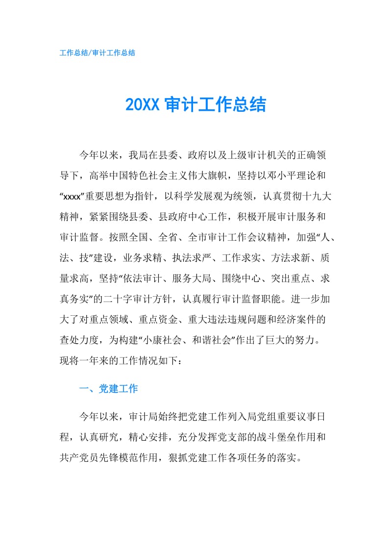 20XX审计工作总结.doc_第1页